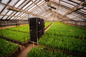 organic farming supplies