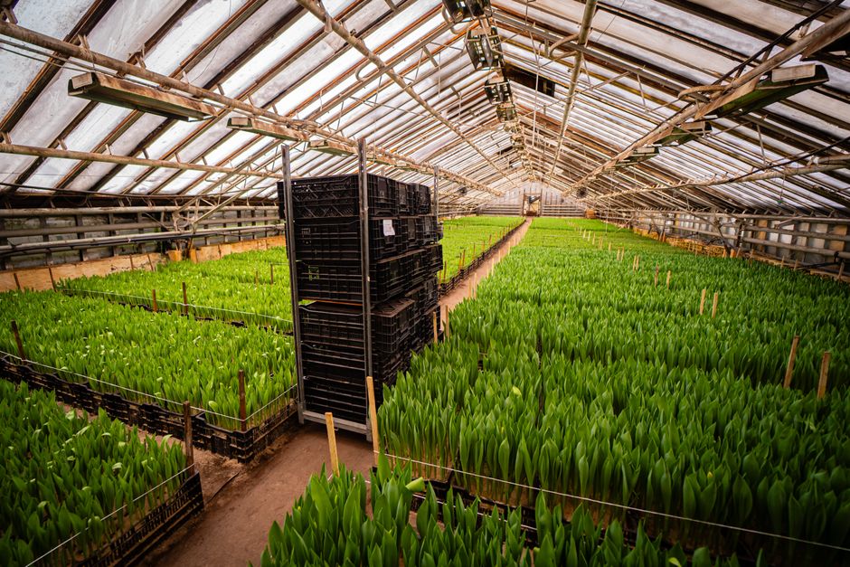 organic farming supplies